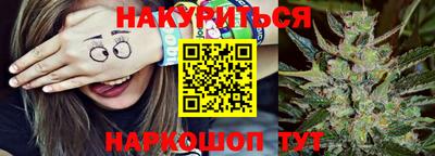 стафф Моздок